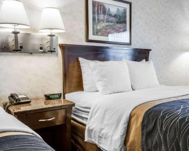 Comfort Inn - 36