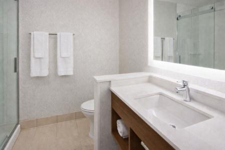 Holiday Inn Express and Suites Downtown, an IHG - 61