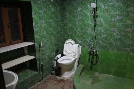 Yala Heritage Home - 4