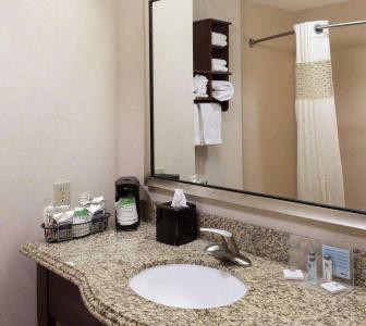Hampton Inn & Suites Dallas-Arlington-South - 36