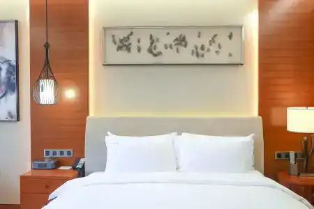 Holiday Inn Nanjing Xuanwu Lake, An Ihg - 30