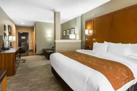 Comfort Suites - University - 58