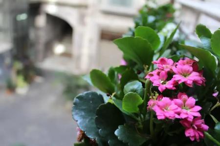 b&b Alloggio Maria - 84