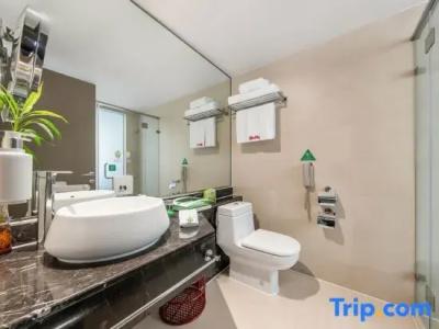 Holiday Inn Nanjing Aqua City, An Ihg - 107