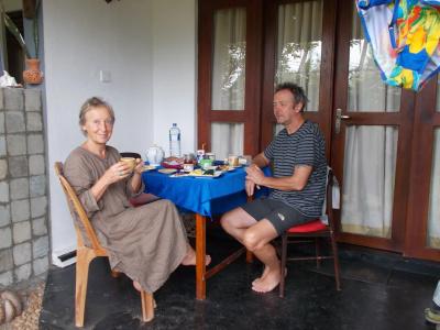 Peacock Wings Guest - 18