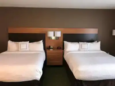 TownePlace Suites by Marriott South/Hamburg Place - 72