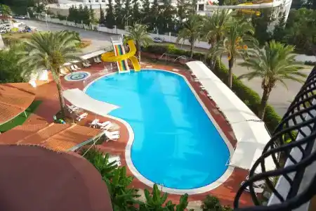 Palm D'or - 16