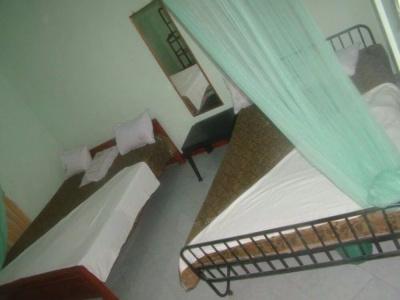Alp Guest - 11