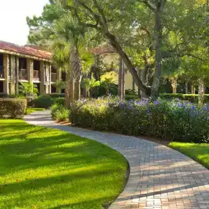DoubleTree by Hilton Orlando at SeaWorld - 105