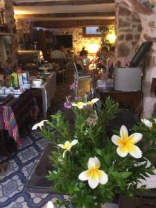 Lemon Villa - Adult Only - 29