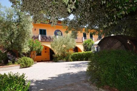 Poggio Degli Olivi - 30