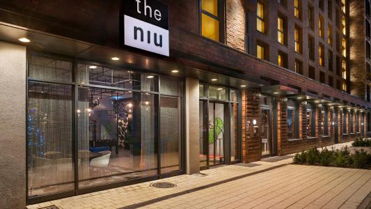 the niu Square - 36