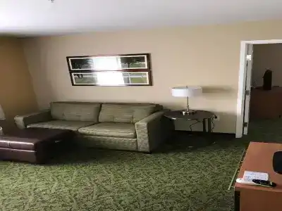 TownePlace Suites by Marriott South/Hamburg Place - 33