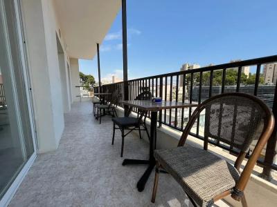 Lis Mallorca - 178