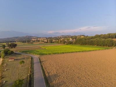 Borgo Pulciano - 16