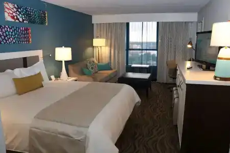 Wyndham Garden Lake Buena Vista Disney Springs® Resort Area - 36