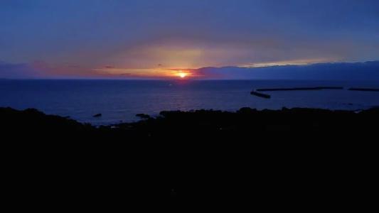 Yakushima Green - 19