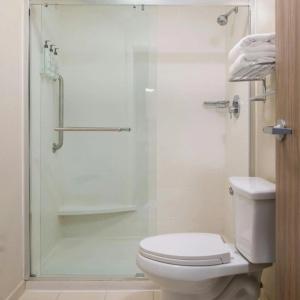 SpringHill Suites by Marriott Convention Center - 38