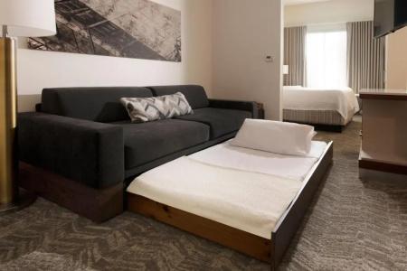 SpringHill Suites by Marriott Austin Northwest/The Domain Area - 5