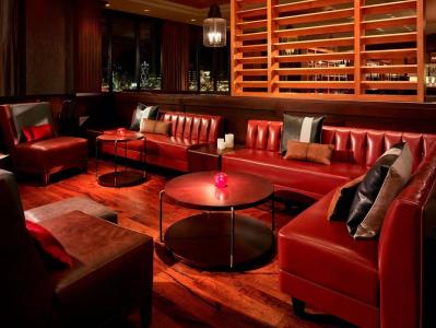 Hilton Anatole - 25