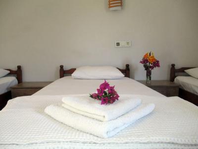 Eucalyptus Pension - 11