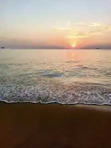 Orange Resort - 278