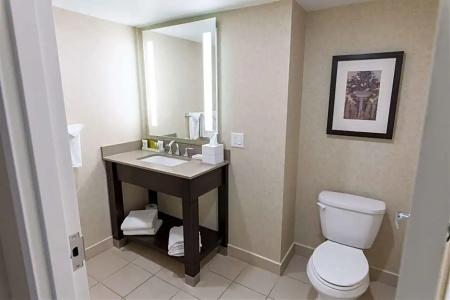 Hilton/ Fallsview and Suites - 57