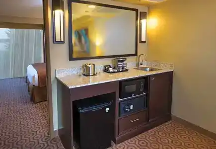 DoubleTree Suites by Hilton Tucson-Williams Center - 45