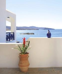 Sea View Studios - 19