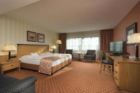 Maritim Dresden - 73