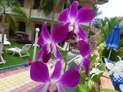 Hilda Guest House - 19