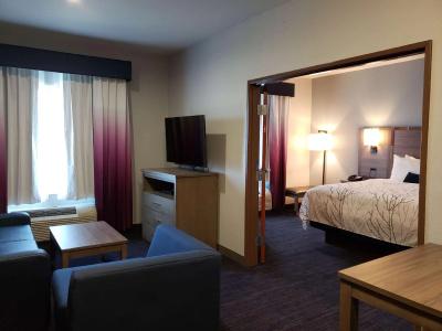 Best Western Plus San Antonio East Inn & Suites - 76