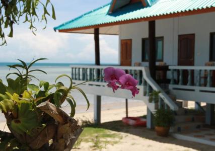 Sunsea Resort - 9