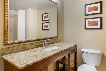 Comfort Inn International Drive - 47