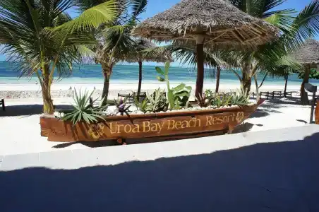 Uroa Bay Beach - 38