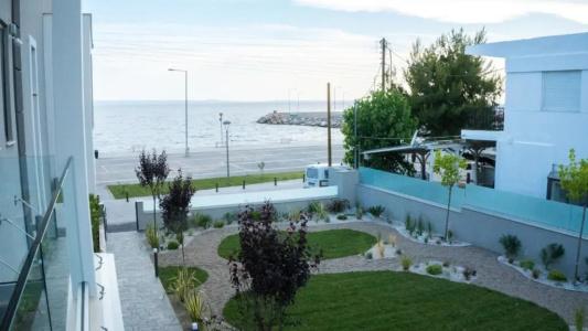 Costa Domus Blue Luxury - 139