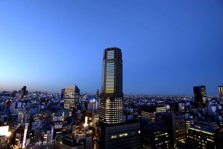 Cerulean Tower Tokyu, a Pan Pacific Partner - 29