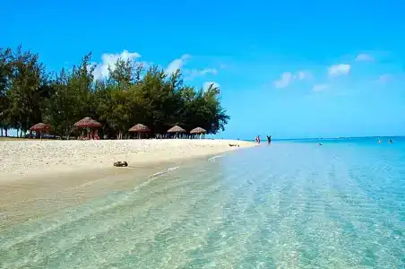 Sugar Reef West Coast - 13