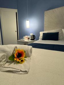 Pharus miseni B&B - 23