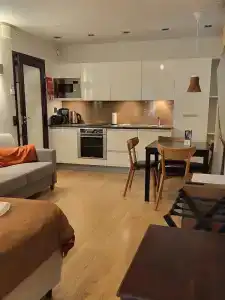 Levi Suites Levi Gold - 238