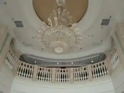 Vienna International (Shen Zhen Buji Dafen shop) - 15