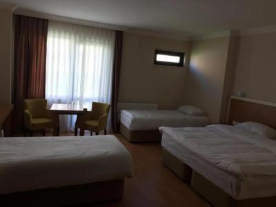 Emsa Palace - 36