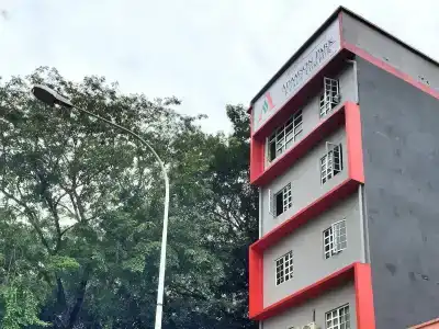 Adamson - 0
