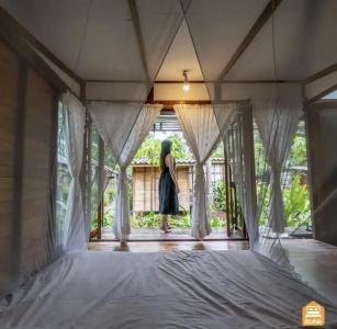 Jungle Koh - 14