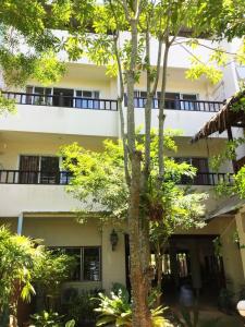 Wild Orchid Krabi - 0