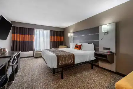 Jameson Inn - - 2