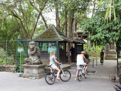 Ubud Wana Resort - 30