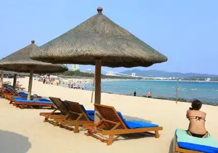 Landscape Beach - 26
