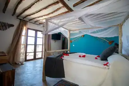 Nest Style Beach Zanzibar - 76
