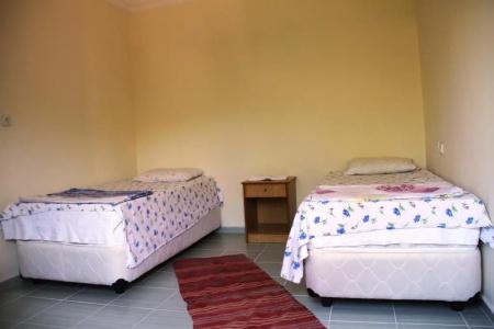Rose Pension - 62